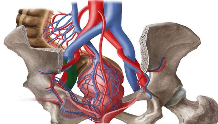 Dilatarea venelor organelor interne